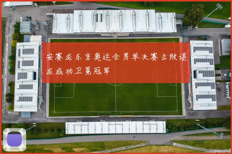 安赛龙东京奥运会男单决赛击败谌龙成功卫冕冠军